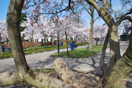 Bart van elsplantsoen in Bennekom
